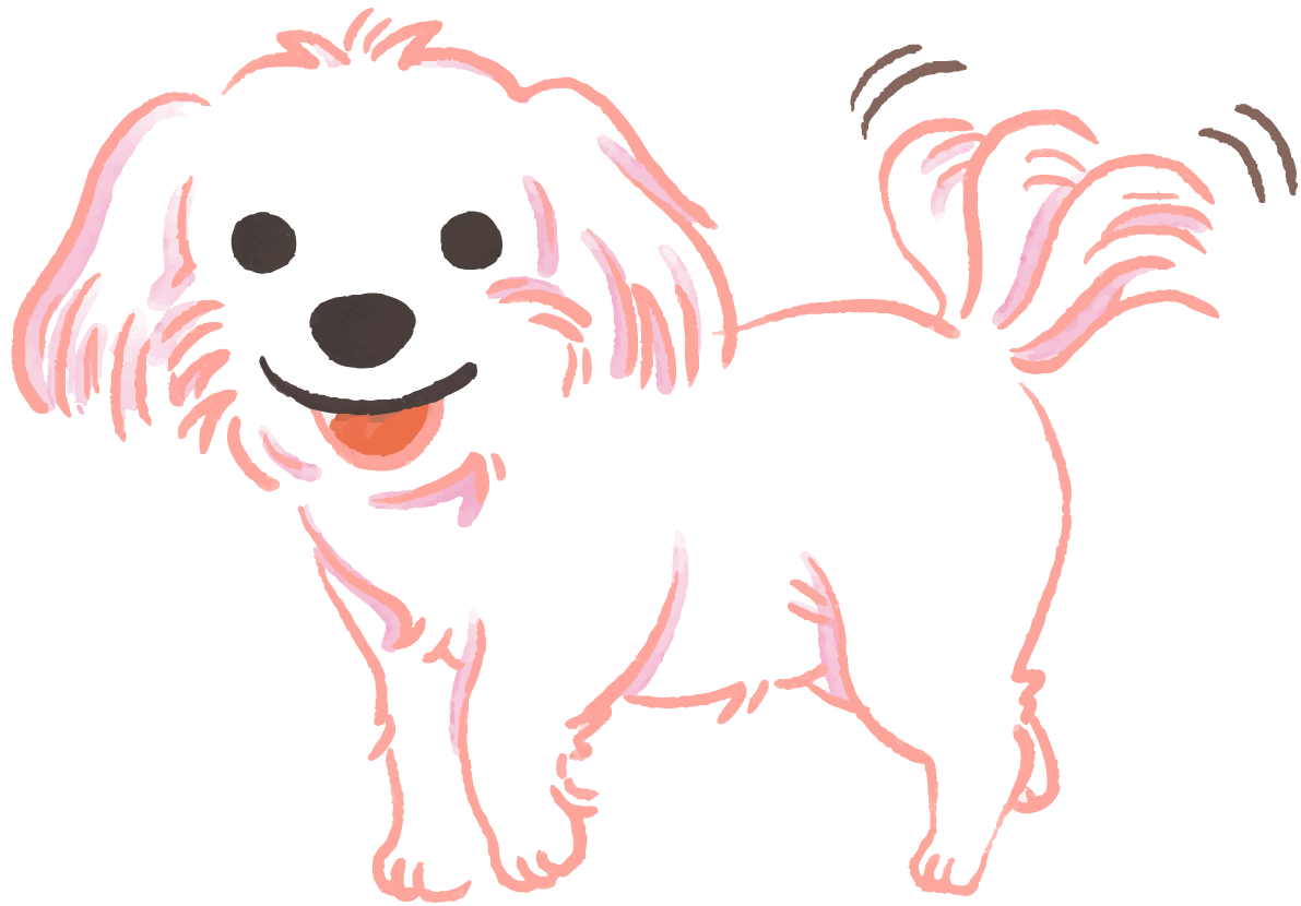 マルチーズ(尻尾を振る)かわいい犬の無料イラスト70679に写真・文字を入れる