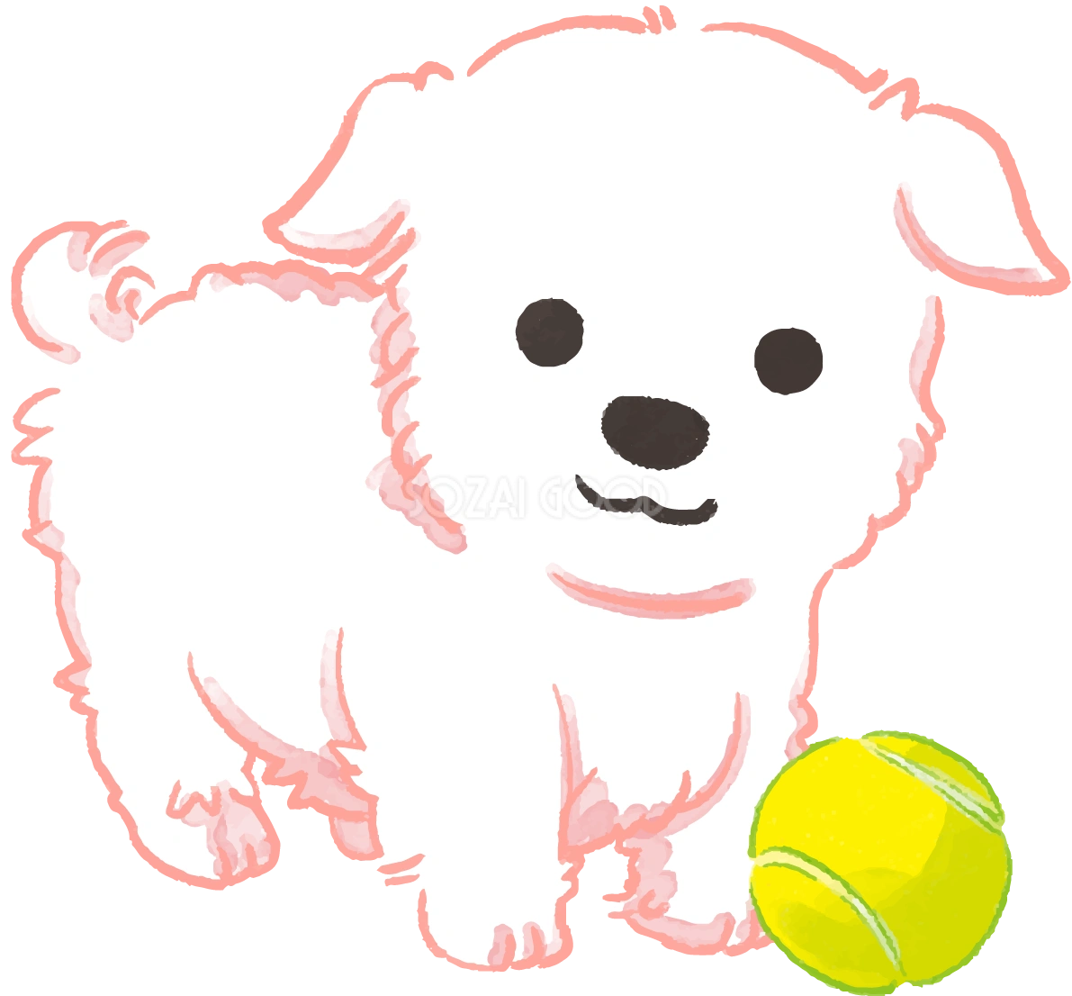 マルチーズ子犬(ボールで遊ぶ)かわいい犬の無料イラスト70691