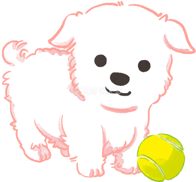 マルチーズ 犬 イラスト 無料フリー 素材good