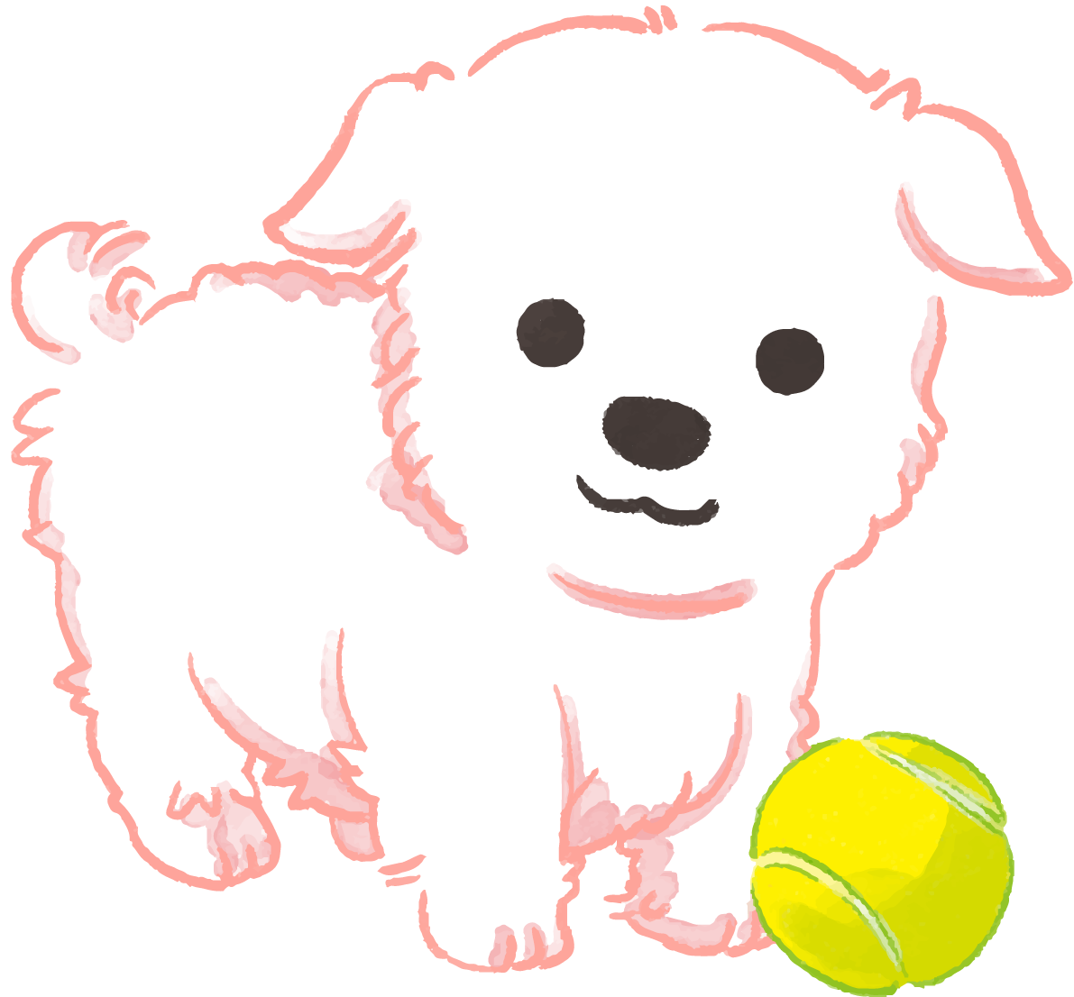 マルチーズ子犬(ボールで遊ぶ)かわいい犬の無料イラスト70691に写真・文字を入れる