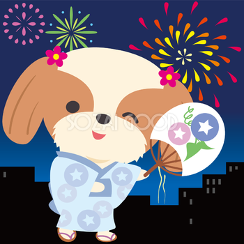 シーズー(犬)が花火大会で夜空を見上げる動物無料イラスト71284