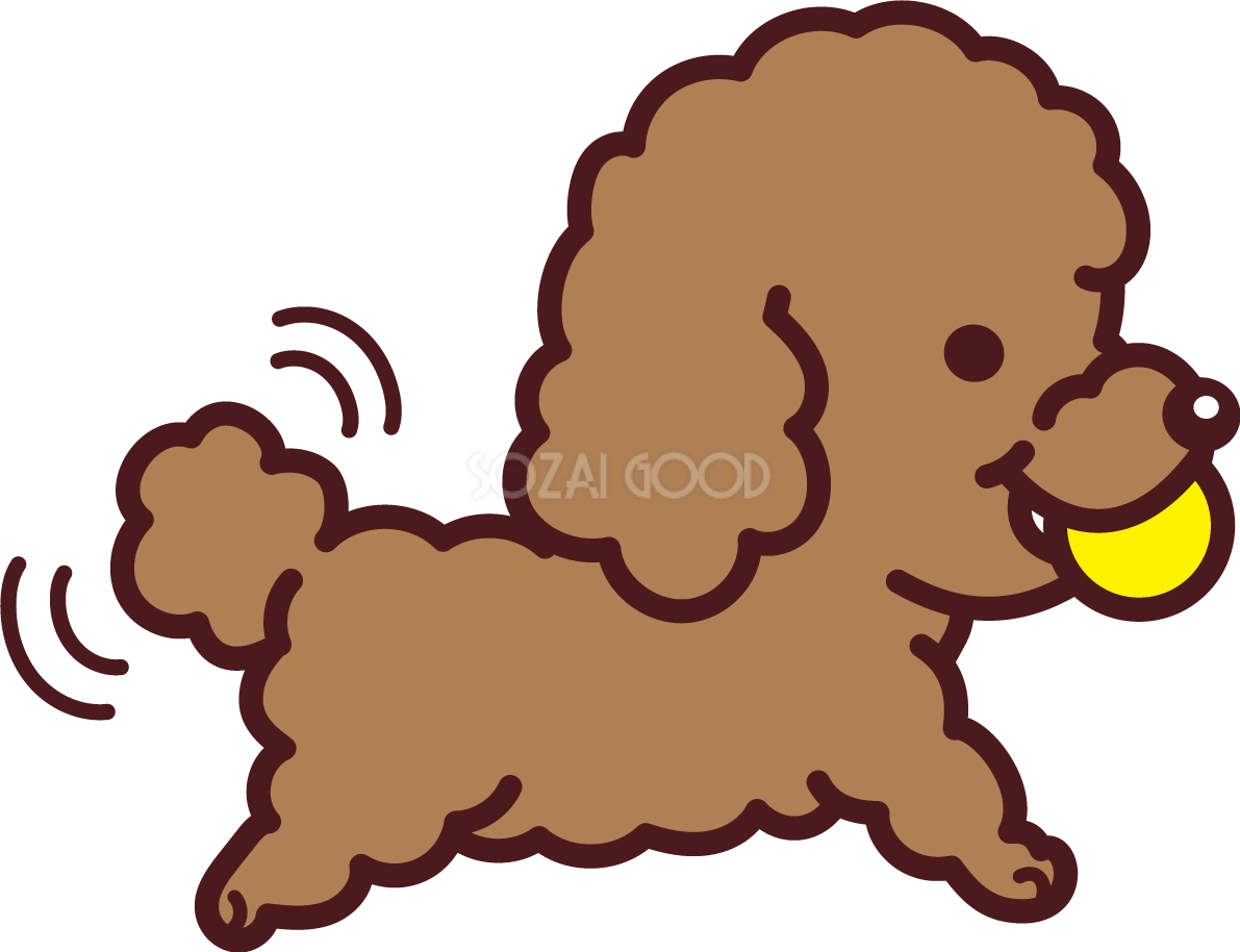 トイプードルがボールをくわえてしっぽをパタパタ かわいい犬の無料イラスト71377