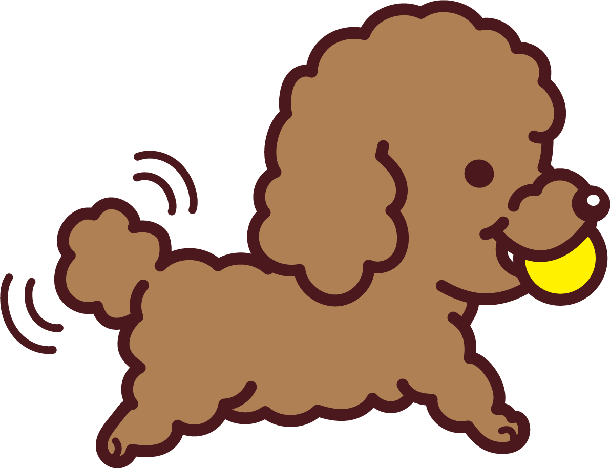 トイプードルがボールをくわえてしっぽをパタパタ かわいい犬の無料イラスト71377に写真・文字を入れる