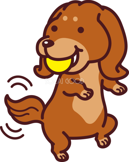 ミニチュア ダックスフンドがボールをくわえ喜ぶ かわいい犬の無料イラスト 素材good