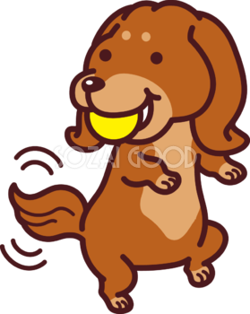 ミニチュア・ダックスフンドがボールをくわえ喜ぶ かわいい犬の無料イラスト71421