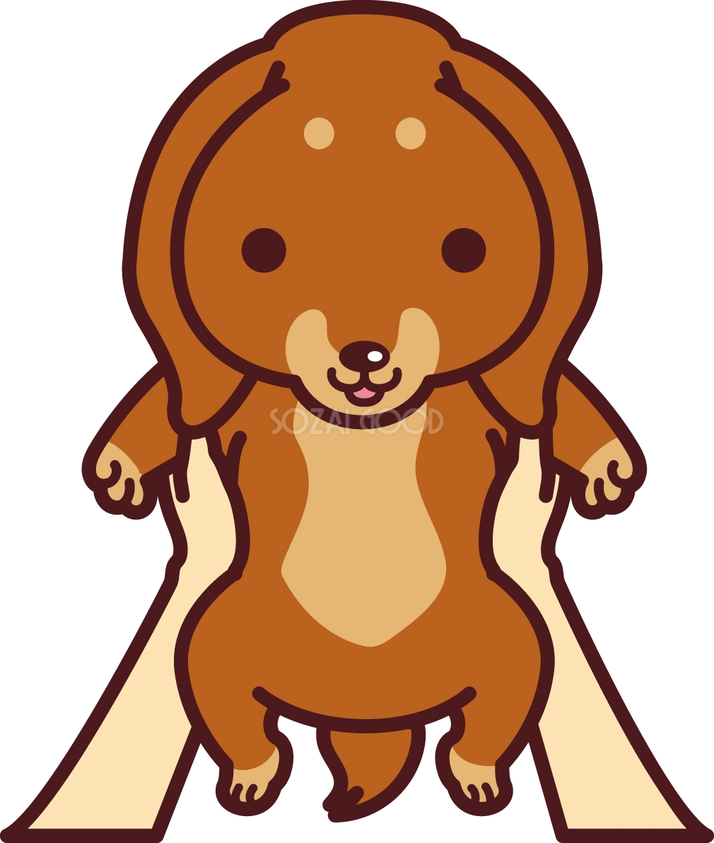 ミニチュア・ダックスフンドを抱っこし持ち上げ かわいい犬の無料イラスト71429