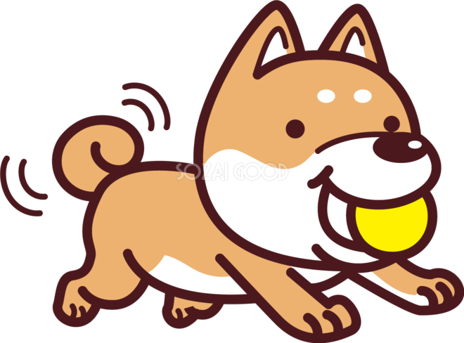 柴犬がボールをくわえてしっぽをパタパタ かわいい犬の無料イラスト71510 素材good