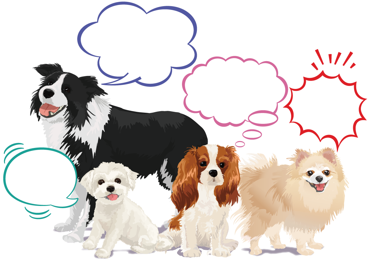 リアルな犬達が集合吹き出しデザイン無料イラスト71770に写真・文字を入れる