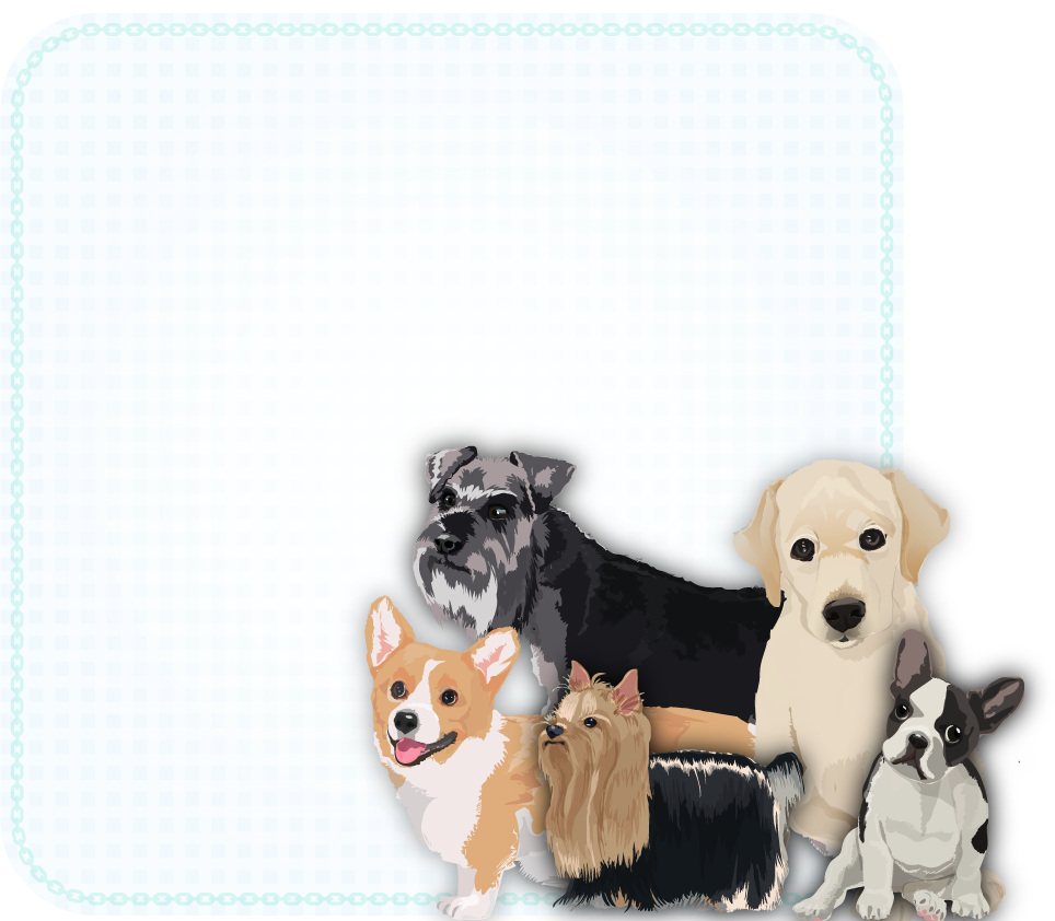 リアルな犬達が集合フレームの無料イラスト71774に写真・文字を入れる
