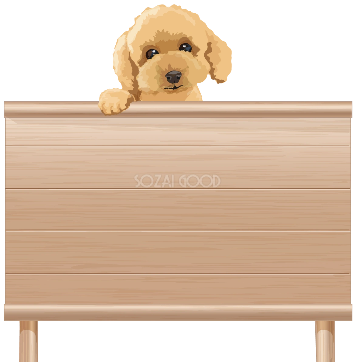 看板を持つリアルなトイプードル(犬)無料イラスト71806