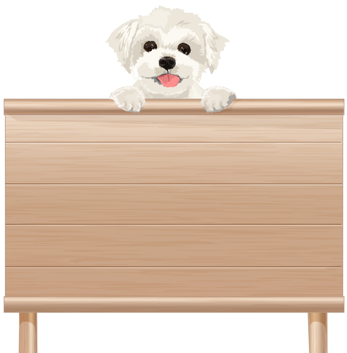 看板を持つリアルなマルチーズ(犬)無料イラスト71811に写真・文字を入れる
