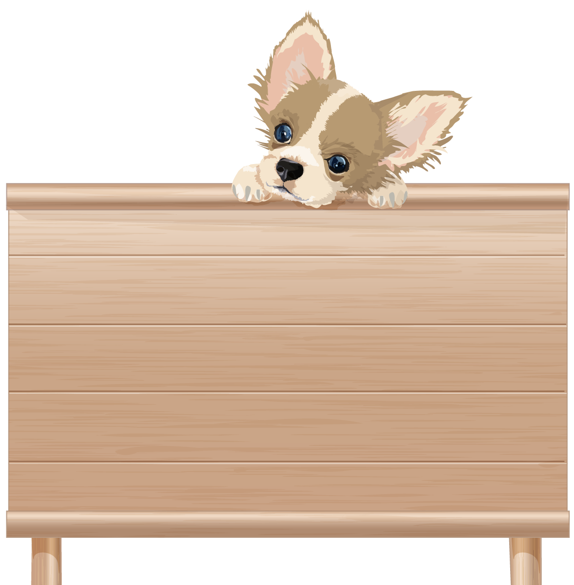 看板を持つリアルなチワワ(犬)無料イラスト71819に写真・文字を入れる