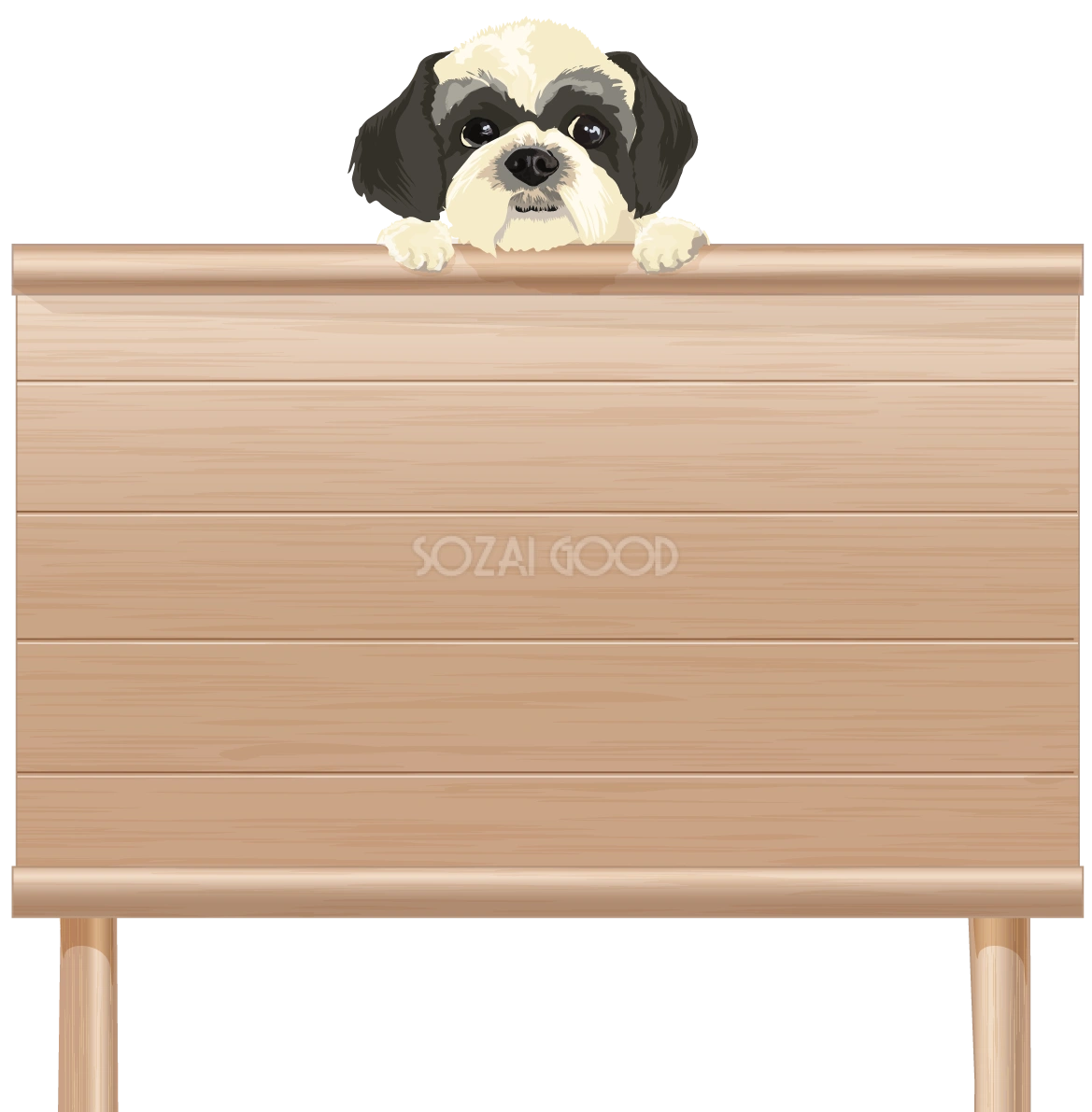 看板を持つリアルなシーズー(犬)無料イラスト71823