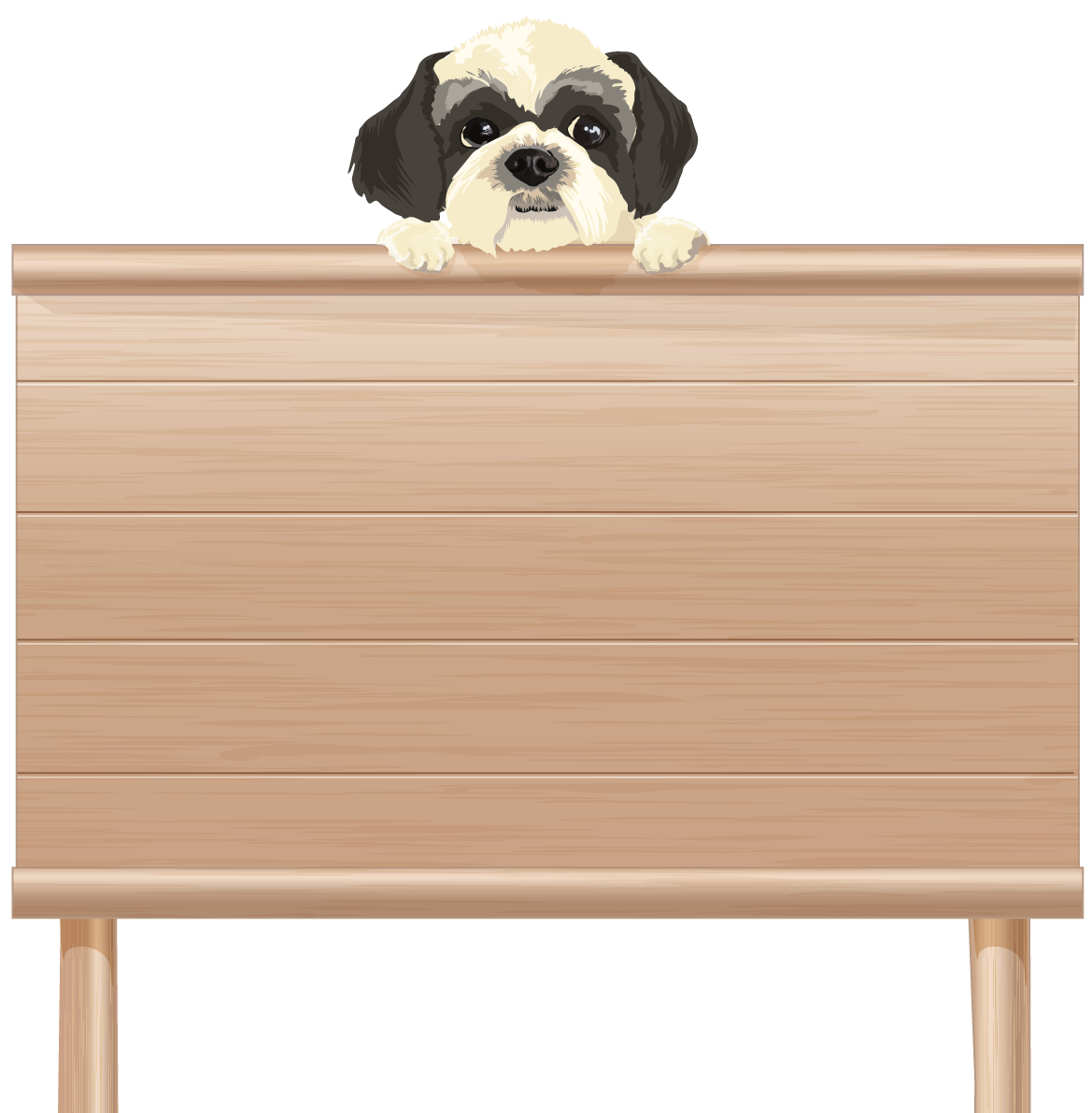 看板を持つリアルなシーズー(犬)無料イラスト71823に写真・文字を入れる