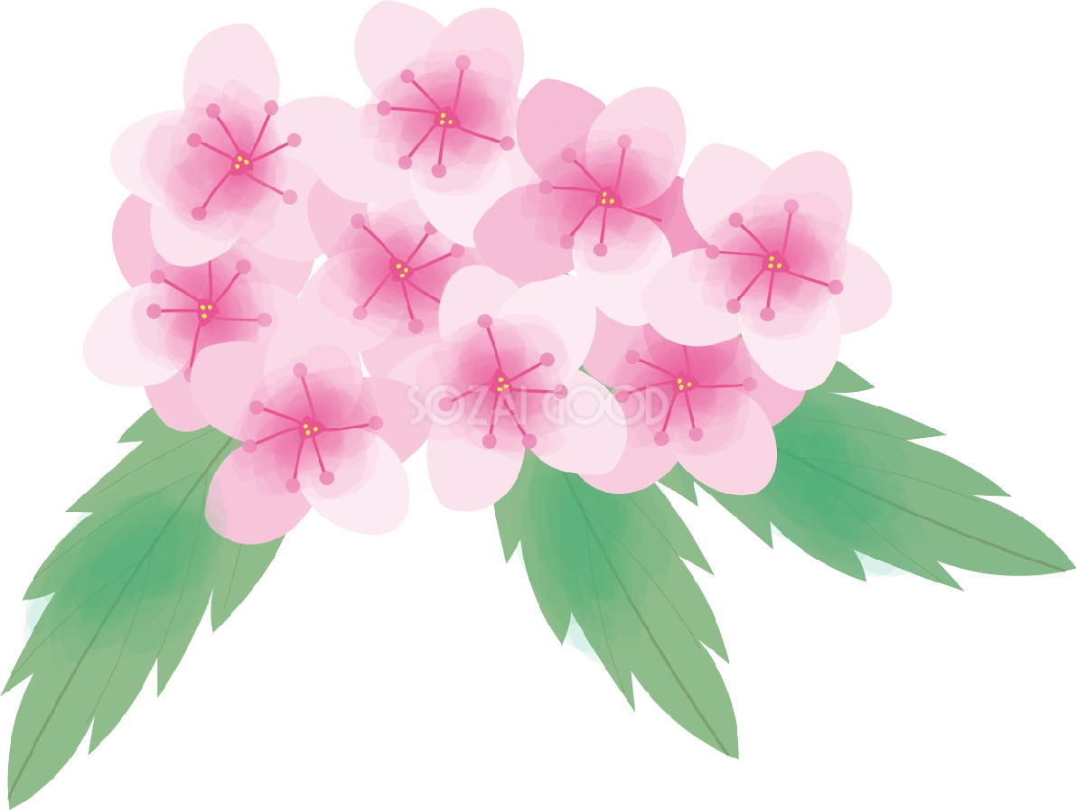 下野(しもつけ)【花の無料イラスト】夏6月-8月72137