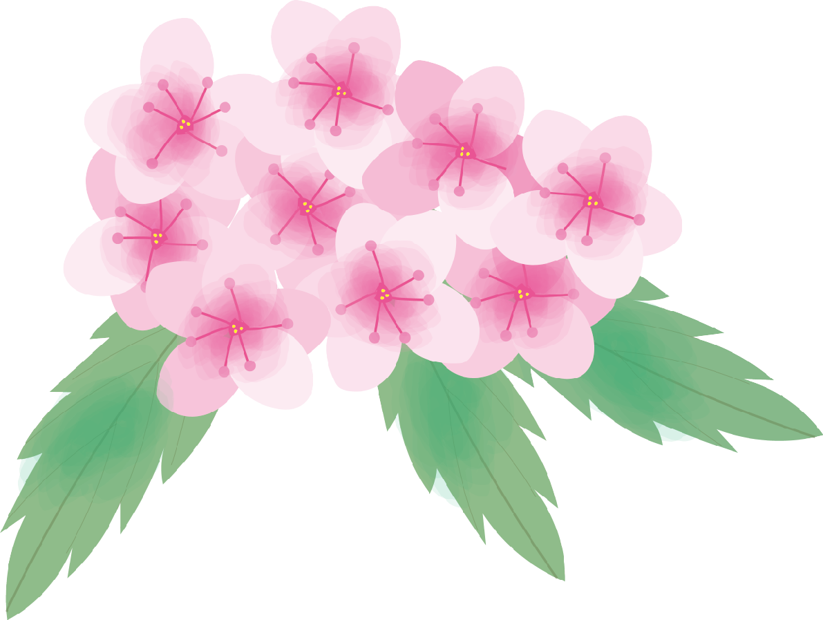 下野(しもつけ)【花の無料イラスト】夏6月-8月72137に写真・文字を入れる