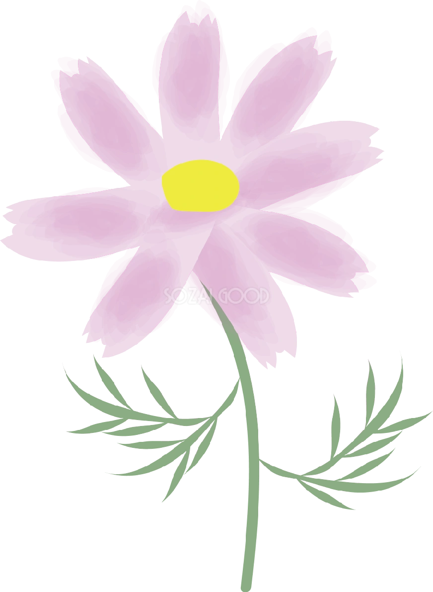 コスモス(秋桜)【花の無料イラスト】夏7月-12月72231