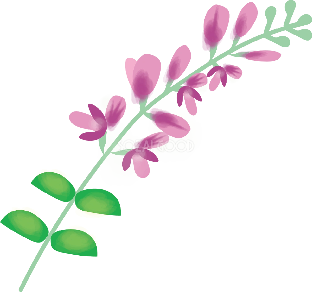 萩(はぎ)【花の無料イラスト】夏6月-10月72279