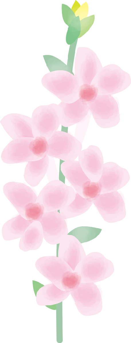 禊萩(みそはぎ)【花の無料イラスト】夏7月-8月72340に写真・文字を入れる