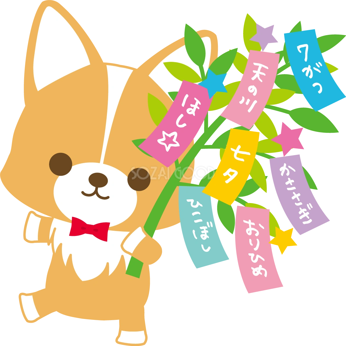 コーギー(犬)七夕(短冊の笹を持つ)動物無料イラスト72401