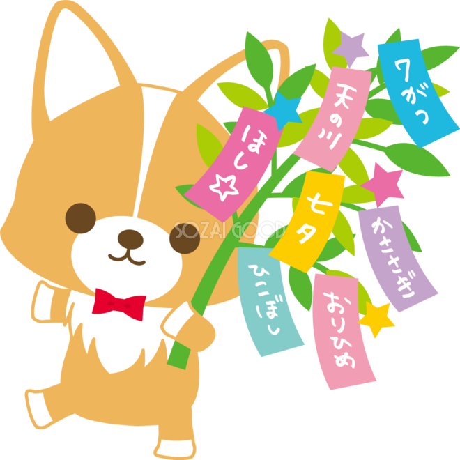 コーギー 犬 七夕 短冊の笹を持つ 動物無料イラスト72401 素材good