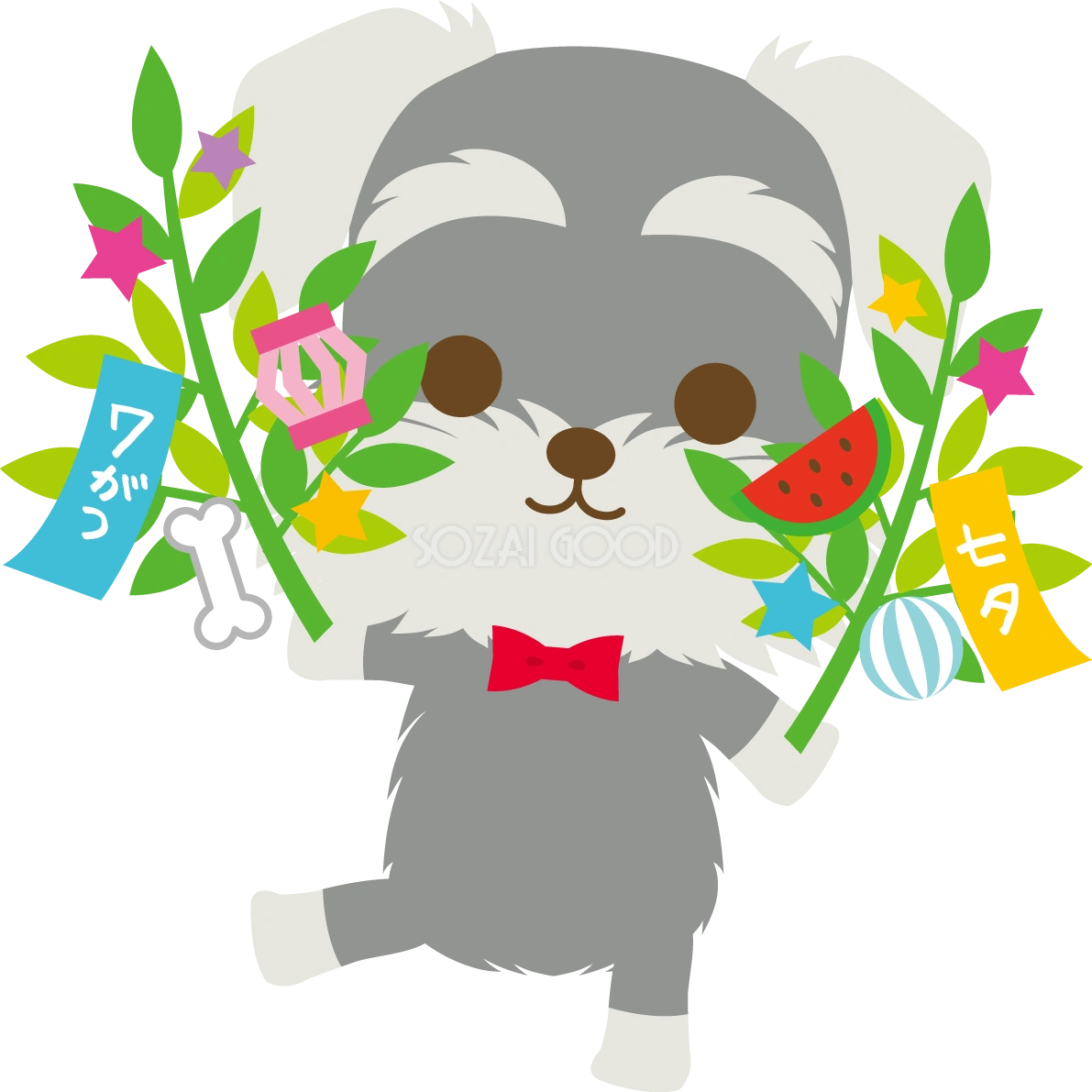 ミニチュア・シュナウザー(犬)七夕(笹を持つ)動物無料イラスト72453