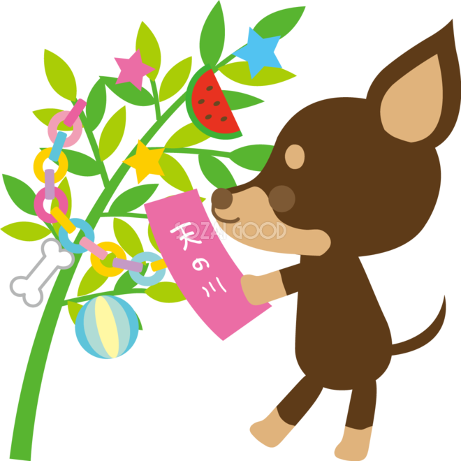 ミニチュア ピンシャー 犬 七夕 短冊を飾る 動物無料イラスト72457