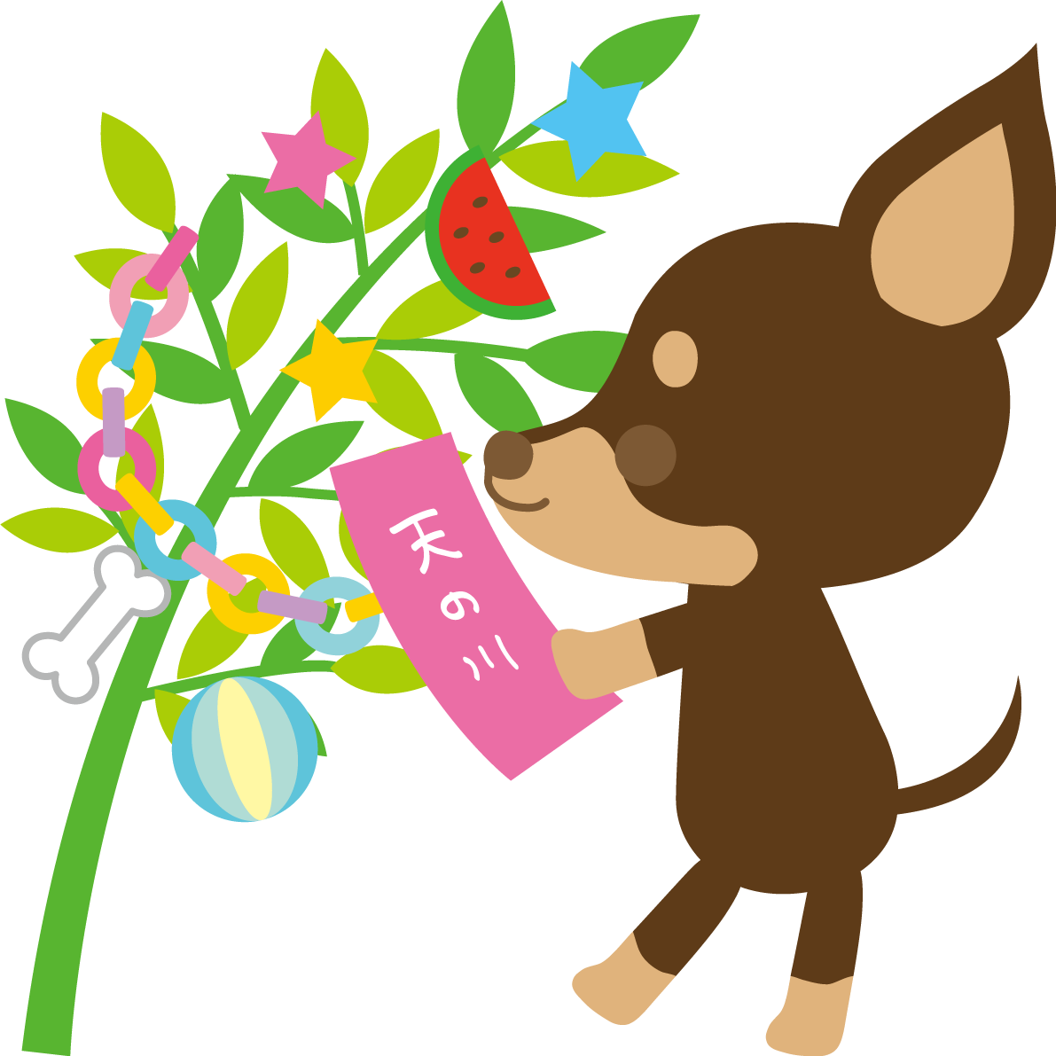ミニチュア・ピンシャー(犬)七夕(短冊を飾る)動物無料イラスト72457に写真・文字を入れる