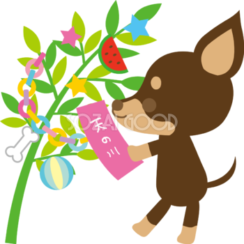 ミニチュア・ピンシャー(犬)七夕(短冊を飾る)動物無料イラスト72457