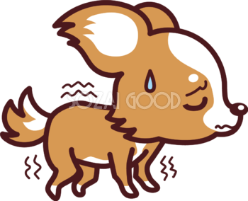 ぷるぷる震えるチワワ(犬) かわいい犬の無料イラスト72518