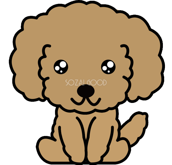 セレクトショップcharme22 年賀状 韓国 いぬ 可愛い チョゴリ プードル おしゃれ イラスト かわいい ペット 犬 トイプー