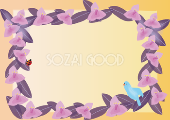 紫御殿(むらさきごてん)夏6月-11月の花フレーム無料イラスト73696