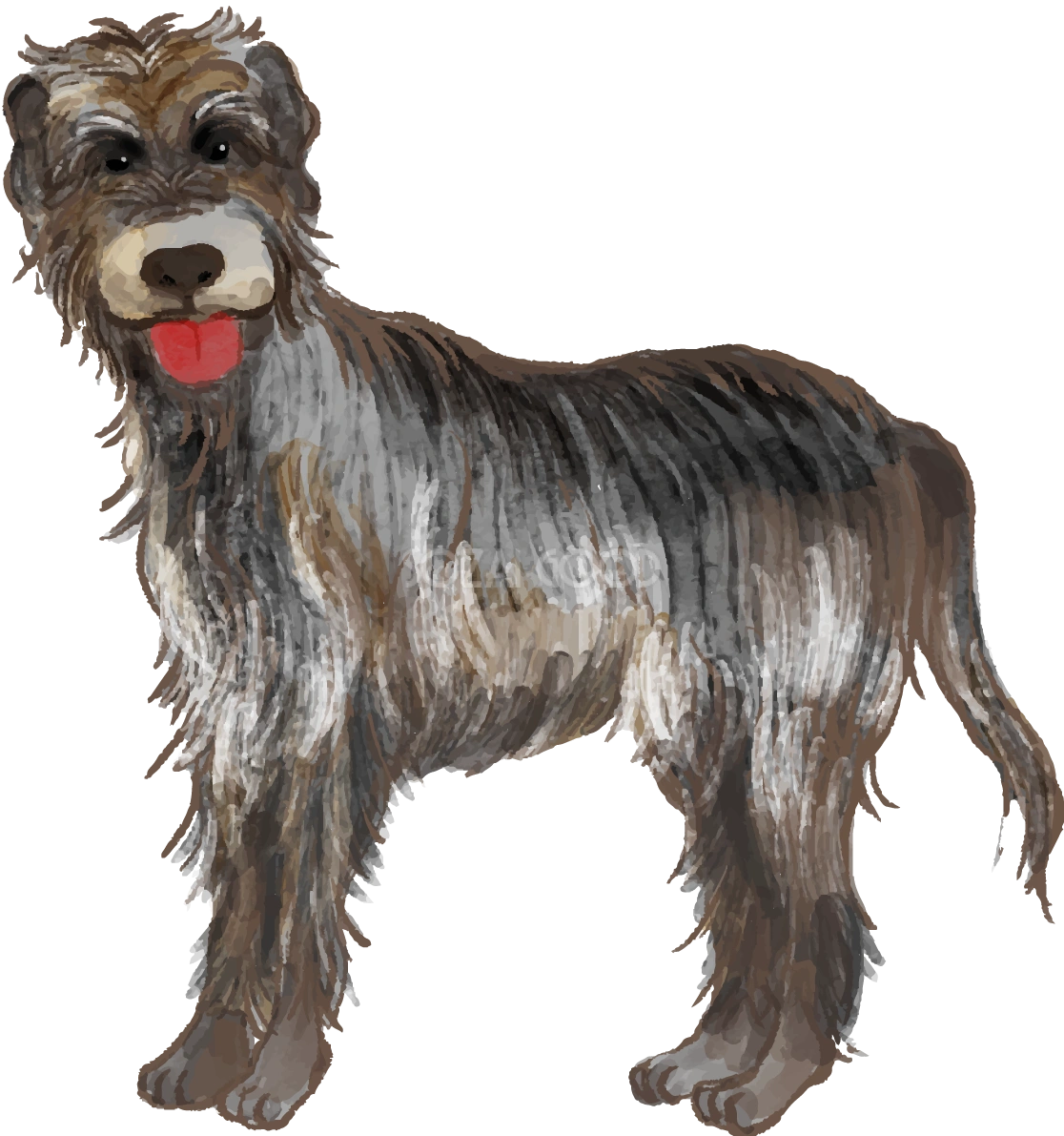 アイリッシュ・ウルフハウンド(立ち姿)犬のリアルかっこいい無料イラスト74028