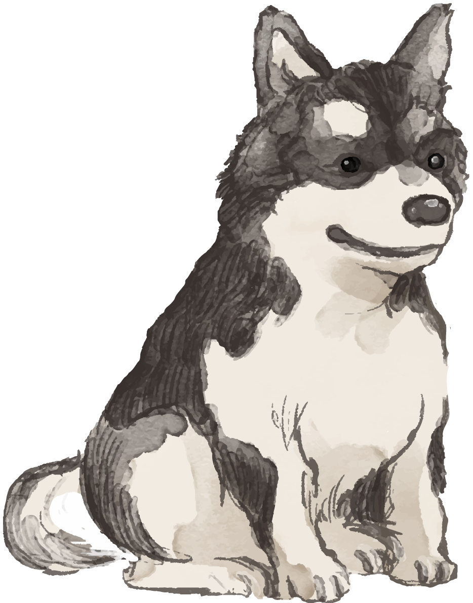 アラスカン・マラミュート(座り姿・子犬)犬のリアルかっこいい無料イラスト74064に写真・文字を入れる