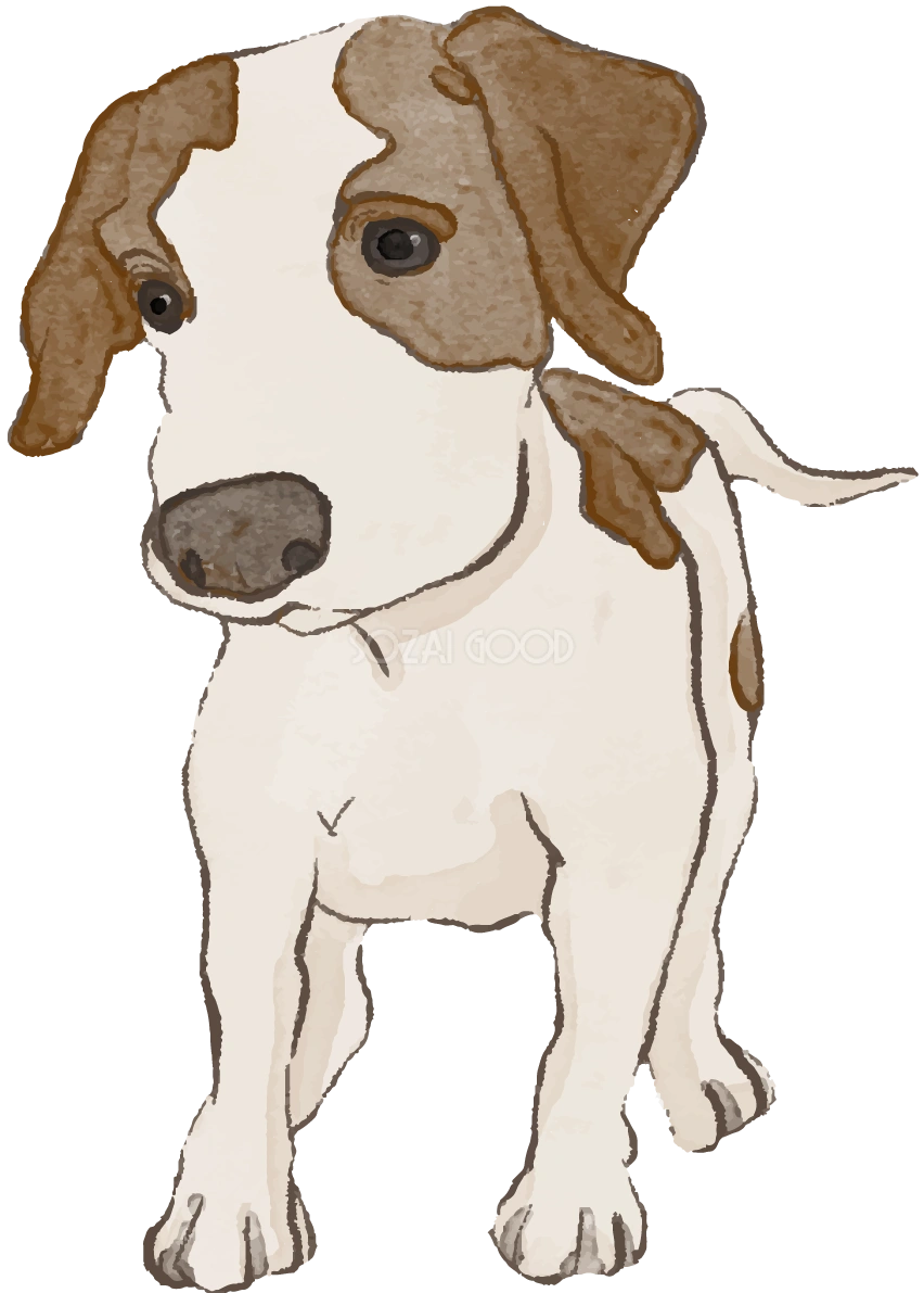 イングリッシュ・ポインター(立ち姿・子犬)犬のリアルかっこいい無料イラスト74108