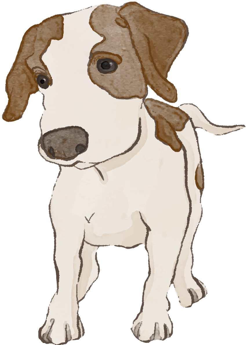 イングリッシュ・ポインター(立ち姿・子犬)犬のリアルかっこいい無料イラスト74108に写真・文字を入れる