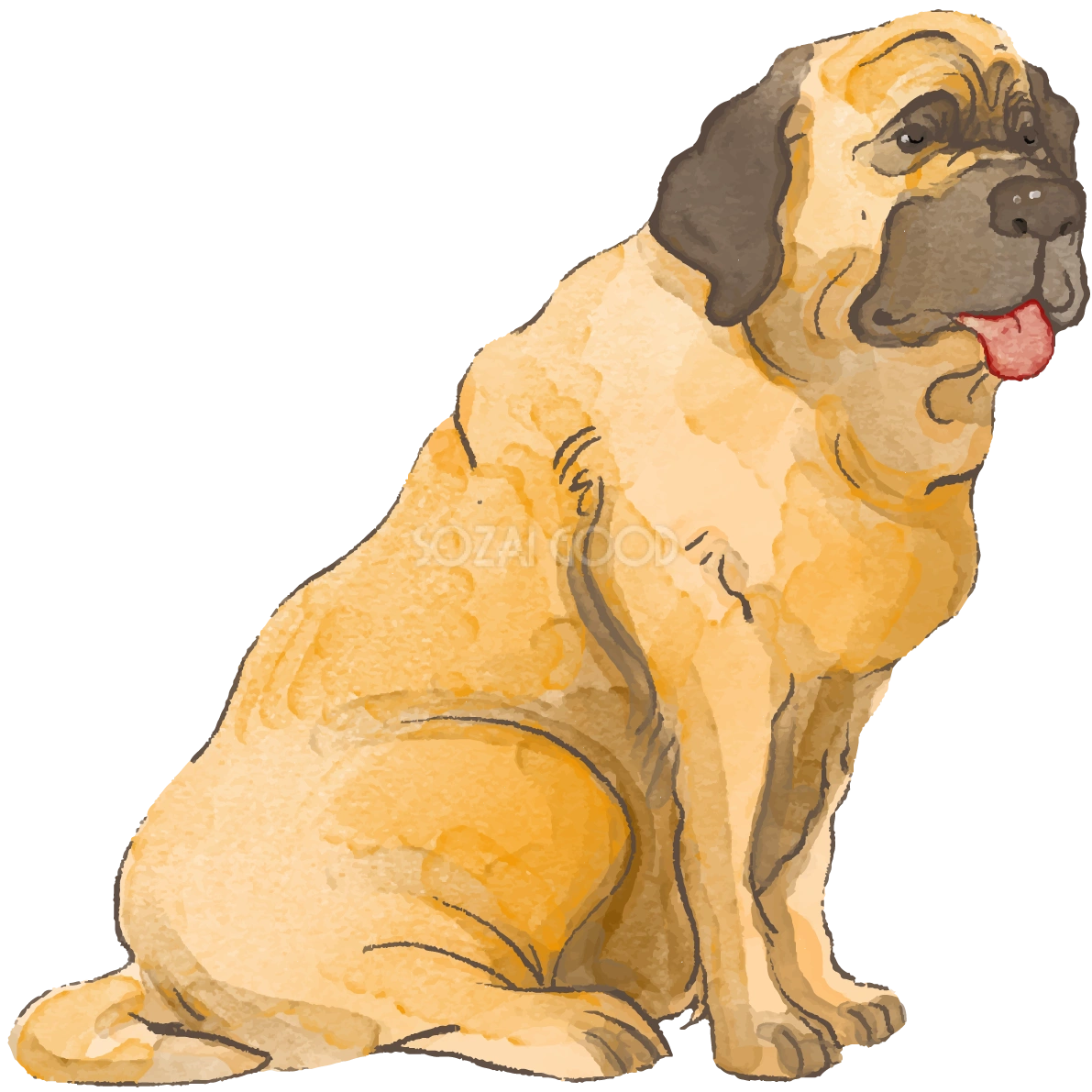 イングリッシュ・マスティフ(座り姿)犬のリアルかっこいい無料イラスト74112