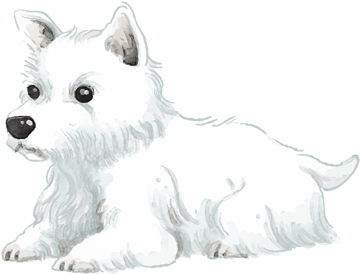 ウエスト・ハイランド・ホワイト・テリア(座り姿)犬のリアルかっこいい無料イラスト74130に写真・文字を入れる
