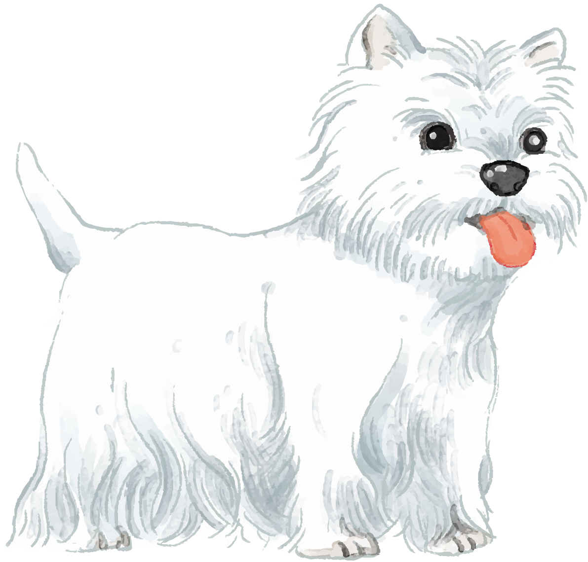 ウエスト・ハイランド・ホワイト・テリア(立ち姿)犬のリアルかっこいい無料イラスト74134に写真・文字を入れる