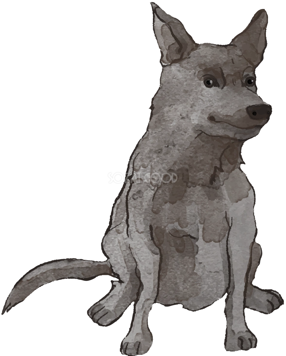 オーストラリアン・ケルピー(座り姿)犬のリアルかっこいい無料イラスト74154