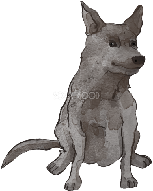 オーストラリアン ケルピー 座り姿 犬のリアルかっこいい無料イラスト 素材good