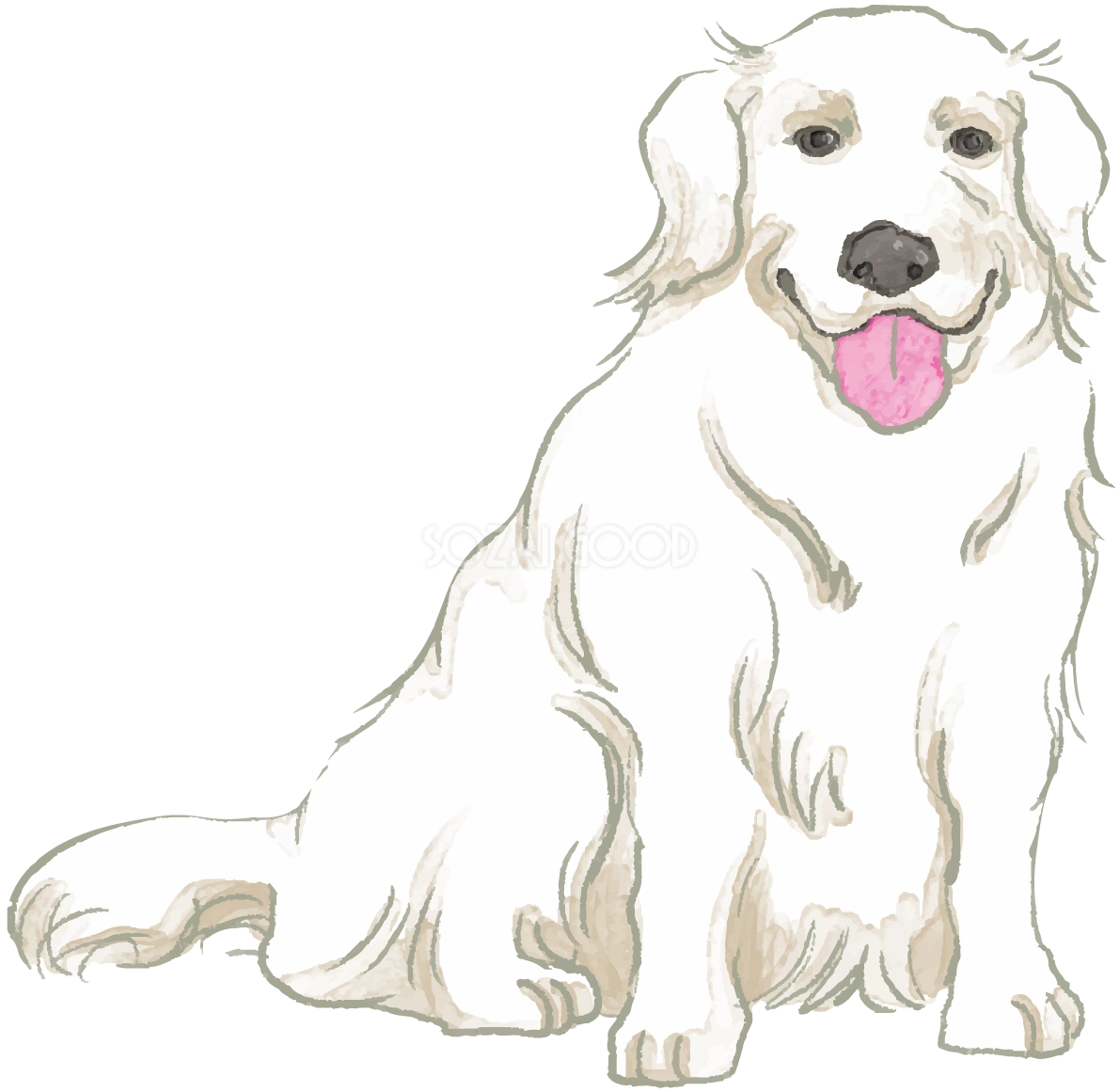 グレートピレニーズ(立座り姿)犬のリアルかっこいい無料イラスト74198
