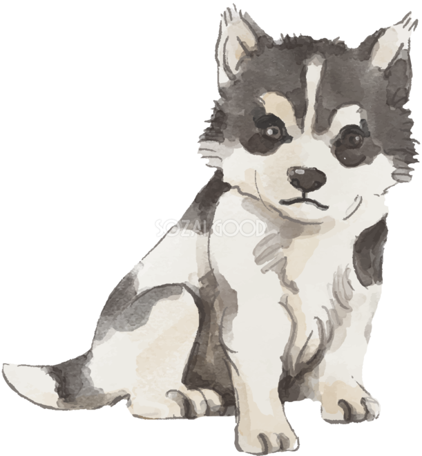 美しい花の画像 最新のhdかっこいい ハスキー 犬 イラスト