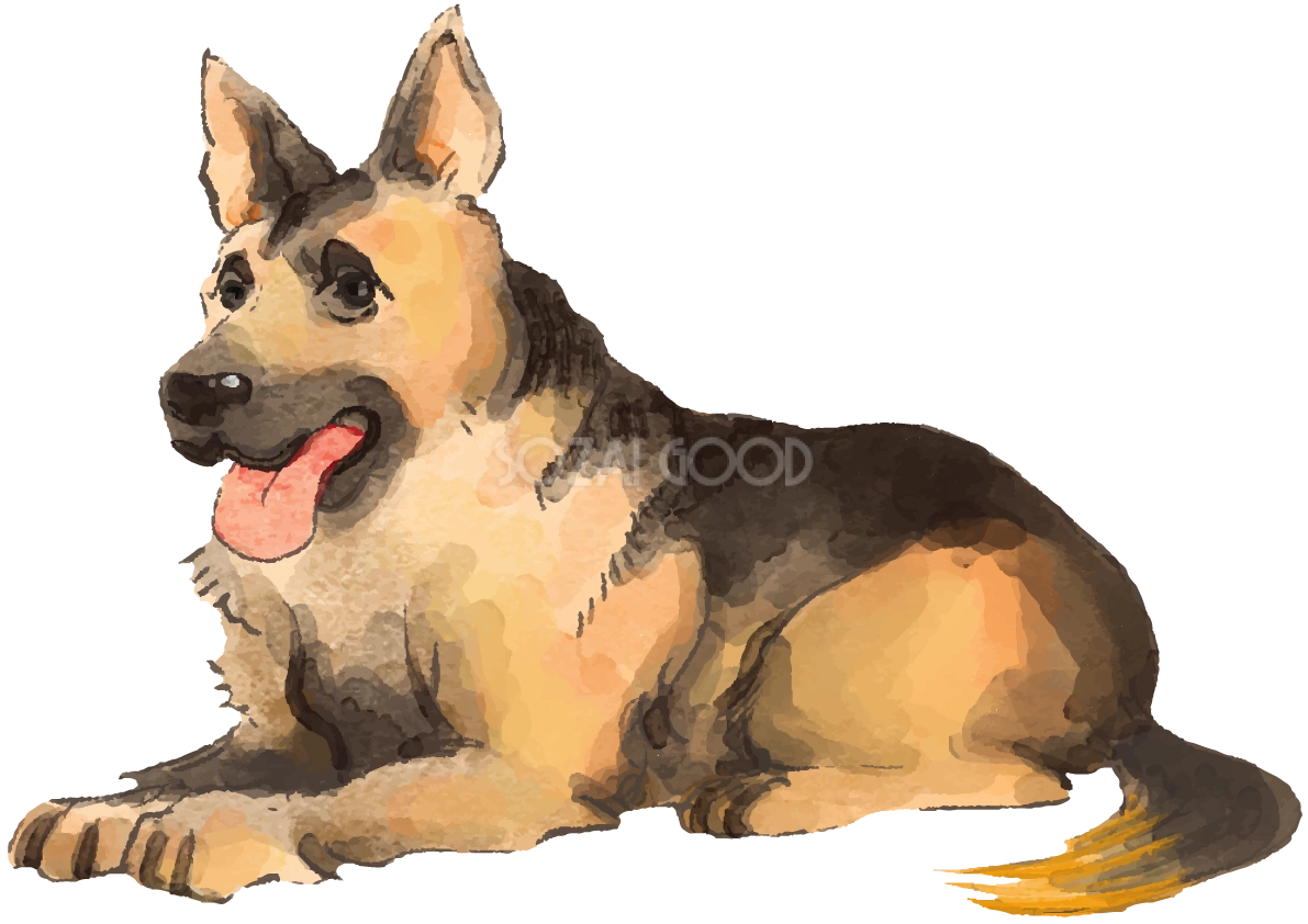 ジャーマン・シェパード・ドッグ(座り姿)犬のリアルかっこいい無料イラスト74342