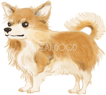 チワワ 犬 イラスト 無料フリー 素材good