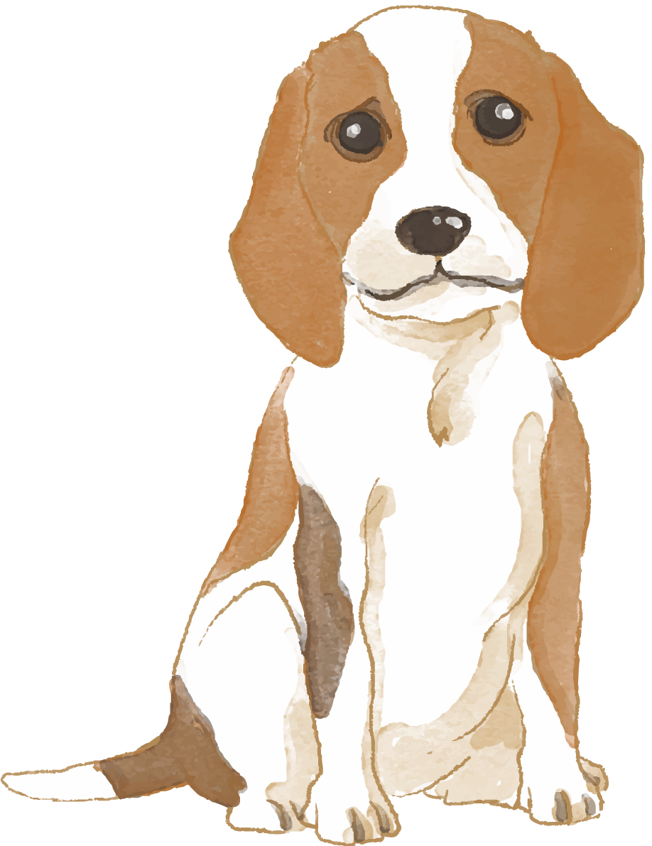 ビーグル(座り姿)犬のリアルかっこいい無料イラスト74473に写真・文字を入れる
