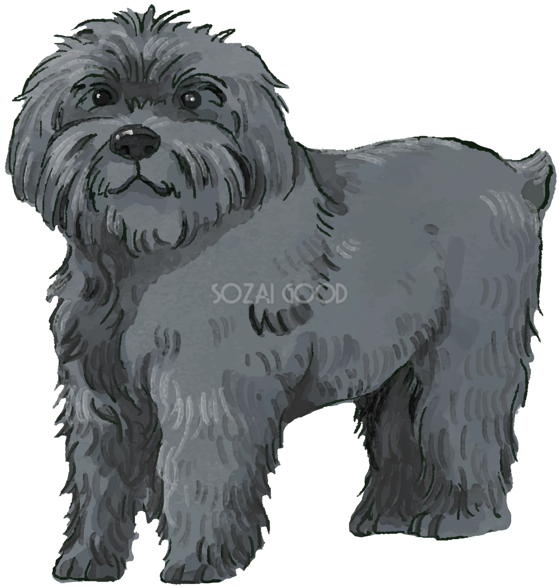 ブービエ・デ・フランダース(立ち姿)犬のリアルかっこいい無料イラスト74494