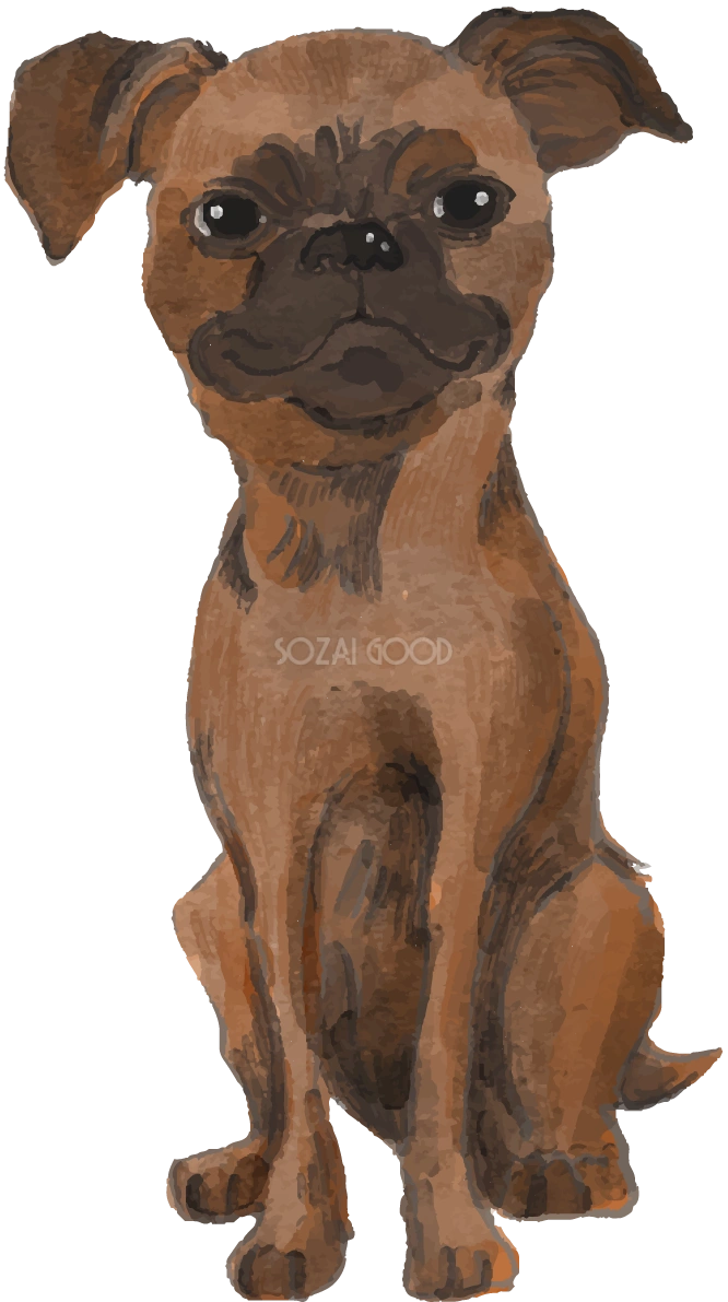 プチ・ブラバンソン(座り姿)犬のリアルかっこいい無料イラスト74498