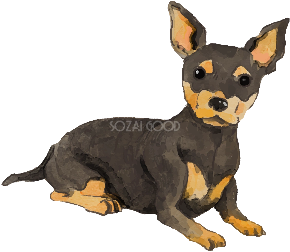 ミニチュア・ピンシャー(座り姿)犬のリアルかっこいい無料イラスト74612