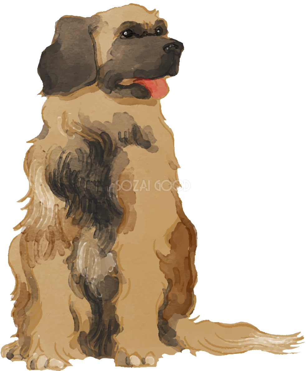 レオンベルガー(座り姿)犬のリアルかっこいい無料イラスト74644